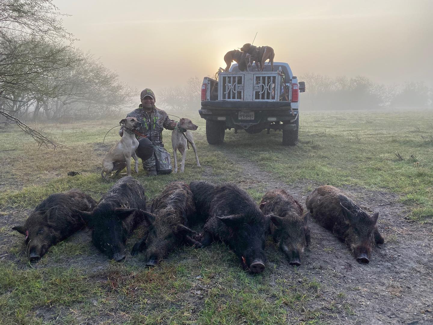 A wild boar stands in a forest, its dark, coarse fur blending with the surrounding trees. The ground is covered with leaves and twigs, and the forest is dimly lit, giving a sense of serenity and natural wilderness. The boar's gaze is focused and alert.